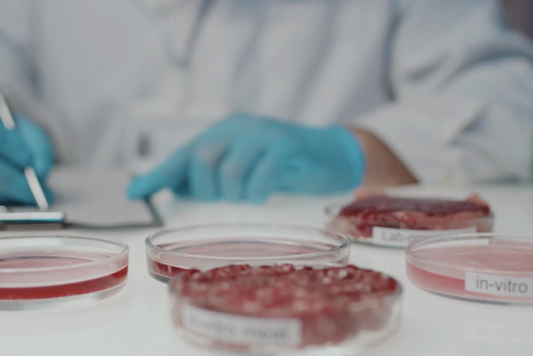 The Future of Food: Lab-Grown Meat, Dairy, and Sugar on the Horizon in the UK