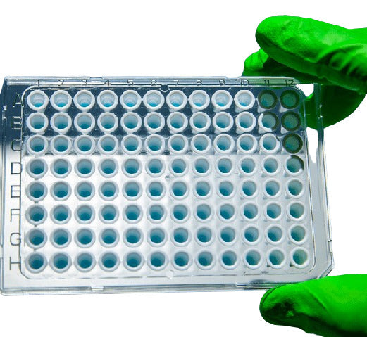 qPCR Reagents