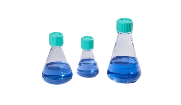 Erlenmeyer Flasks