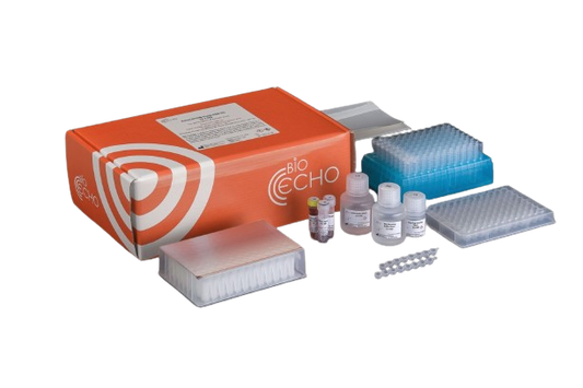 Molecular Biology Reagents