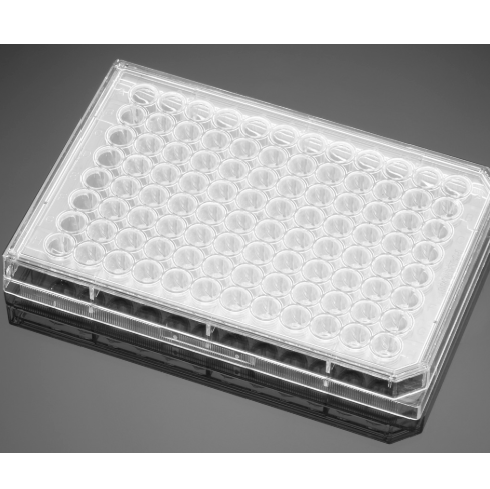 Falcon® 96 Well Clear Flat Bottom TC-Treated Imaging Plate with Lid, 8/Pack, 32/Case