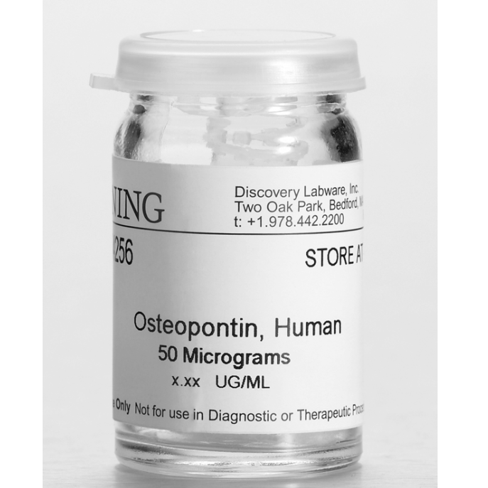 Corning® Osteopontin, Human, 50µg