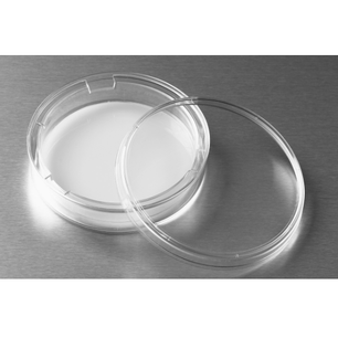 Transwell Permeable Supports, Polycarbonate, Corning