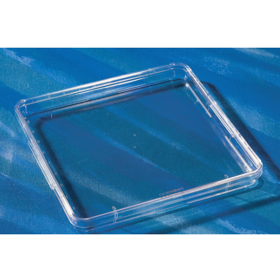 245x245mm square assay dishes, Corning