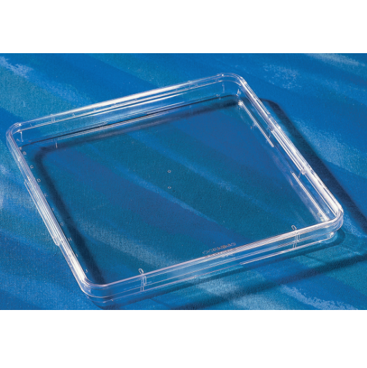 245x245mm square assay dishes, Corning