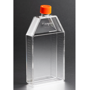 Tissue Culture Flasks, TC-Treated, Canted Neck, Corning