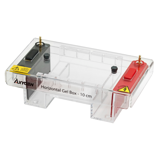 Horizontal gel box, Axygen