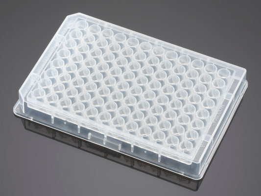 Falcon&#174; 96 Well  Clear V-Bottom Not Treated Polypropylene Microplate, Nonsterile, 25/Pack, 100/Case