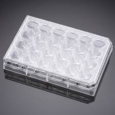 Falcon® 24 Well Polystyrene Clear Flat Bottom Not Treated Cell Culture Plate, with Lid, Individually Wrapped, Sterile, 50/Case