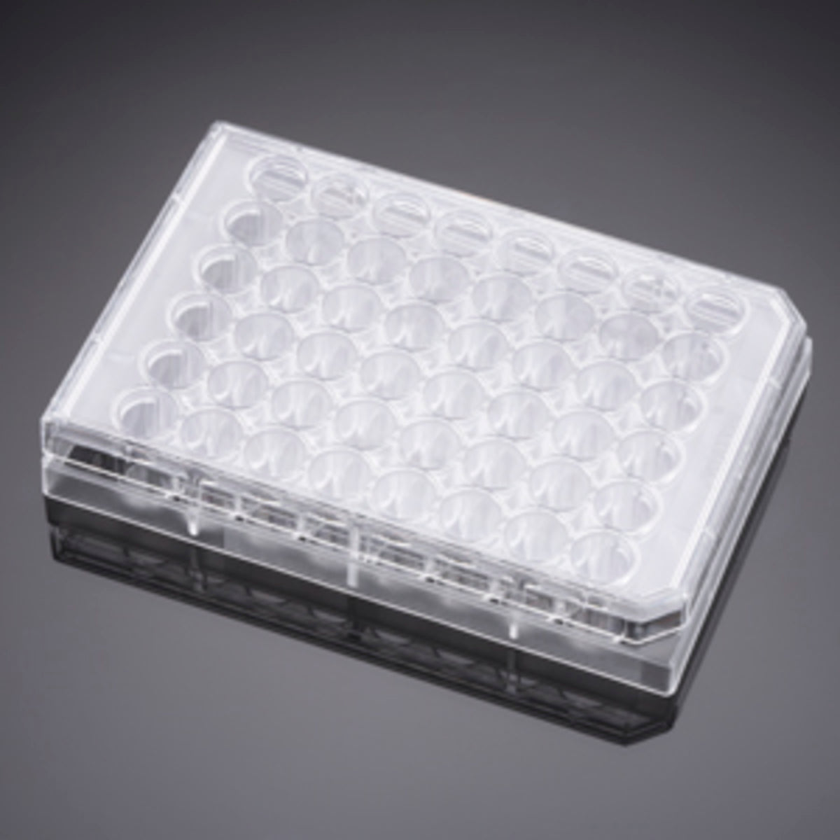 Falcon® 48 Well Clear Flat Bottom Not Treated Multiwell Cell Culture Plate, with Lid, Individually Wrapped, Sterile, 50/Case