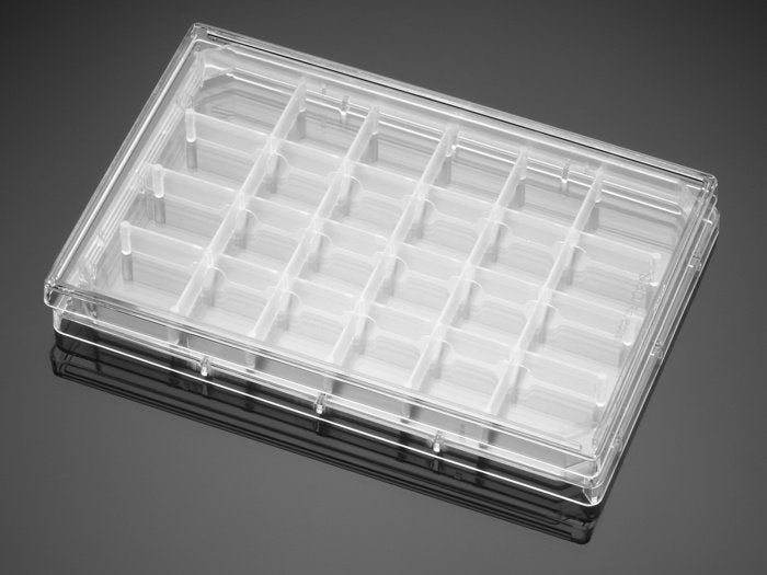 Corning® FluoroBlok„¢ 24 Well Polystyrene Feeder Tray, with Lid, Sterile, 5/Pack, 5/Case