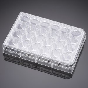 Corning&#174; Primaria&#8482; 24 Well Flat Bottom Surface Modified Multiwell Cell Culture Plate, with Lid, Ind. Wrapped, S, 50/Cs