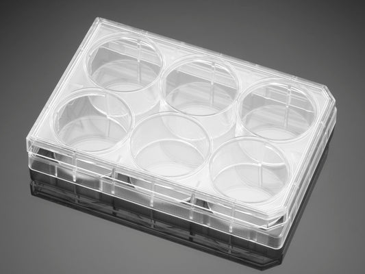 Corning&#174; BioCoat&#8482; Collagen I 6 Well Clear Flat Bottom TC-Treated Multiwell Plate, with Lid, Nonsterile, 5/Case