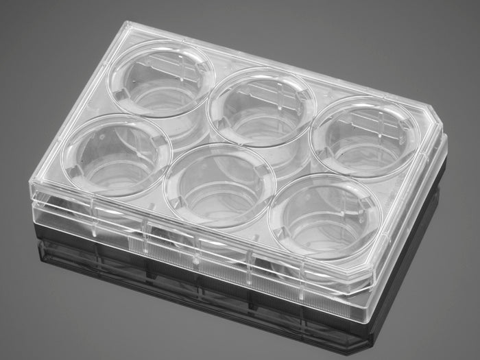 Corning&#174; BioCoat&#8482; Fibronectin 6 Well Clear Flat Bottom TC-Treated Multiwell Plate, with Lid, Nonsterile, 5/Case