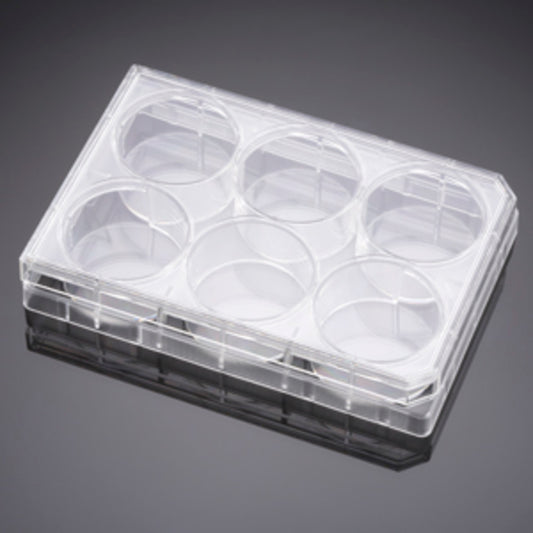 Corning&#174; BioCoat&#8482; Laminin 6 Well Clear Flat Bottom TC-Treated Multiwell Plate, with Lid, Nonsterile, 5/Case