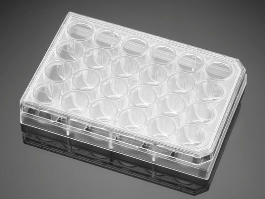 Corning&#174; BioCoat&#8482; Collagen I 24 Well Clear Flat Bottom TC-Treated Multiwell Plate, with Lid, Nonsterile, 5/Case