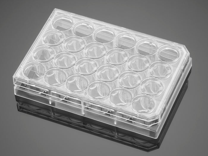 Corning&#174; BioCoat&#8482; Fibronectin 24 Well Clear Flat Bottom TC-Treated Multiwell Plate, with Lid, Nonsterile, 5/Case