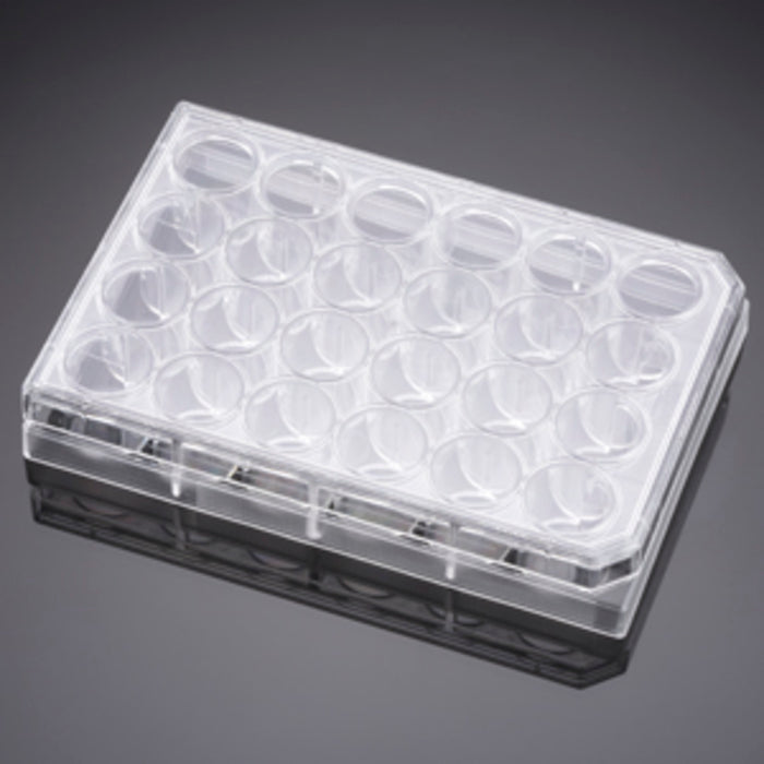 Corning&#174; BioCoat&#8482; Laminin 24 Well Clear Flat Bottom TC-Treated Multiwell Plate, with Lid, Nonsterile, 5/Case