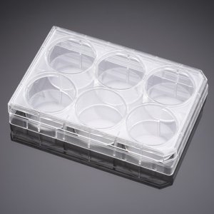 Corning&#174; BioCoat&#8482; Poly-D-Lysine 6 Well Clear Flat Bottom TC-Treated Multiwell Plate, with Lid, Nonsterile, 5/Case