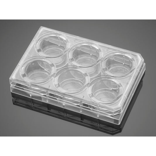 Corning&#174; BioCoat&#8482; Collagen IV 6 Well Clear Flat Bottom TC-Treated Multiwell Plate, with Lid, Nonsterile, 5/Case