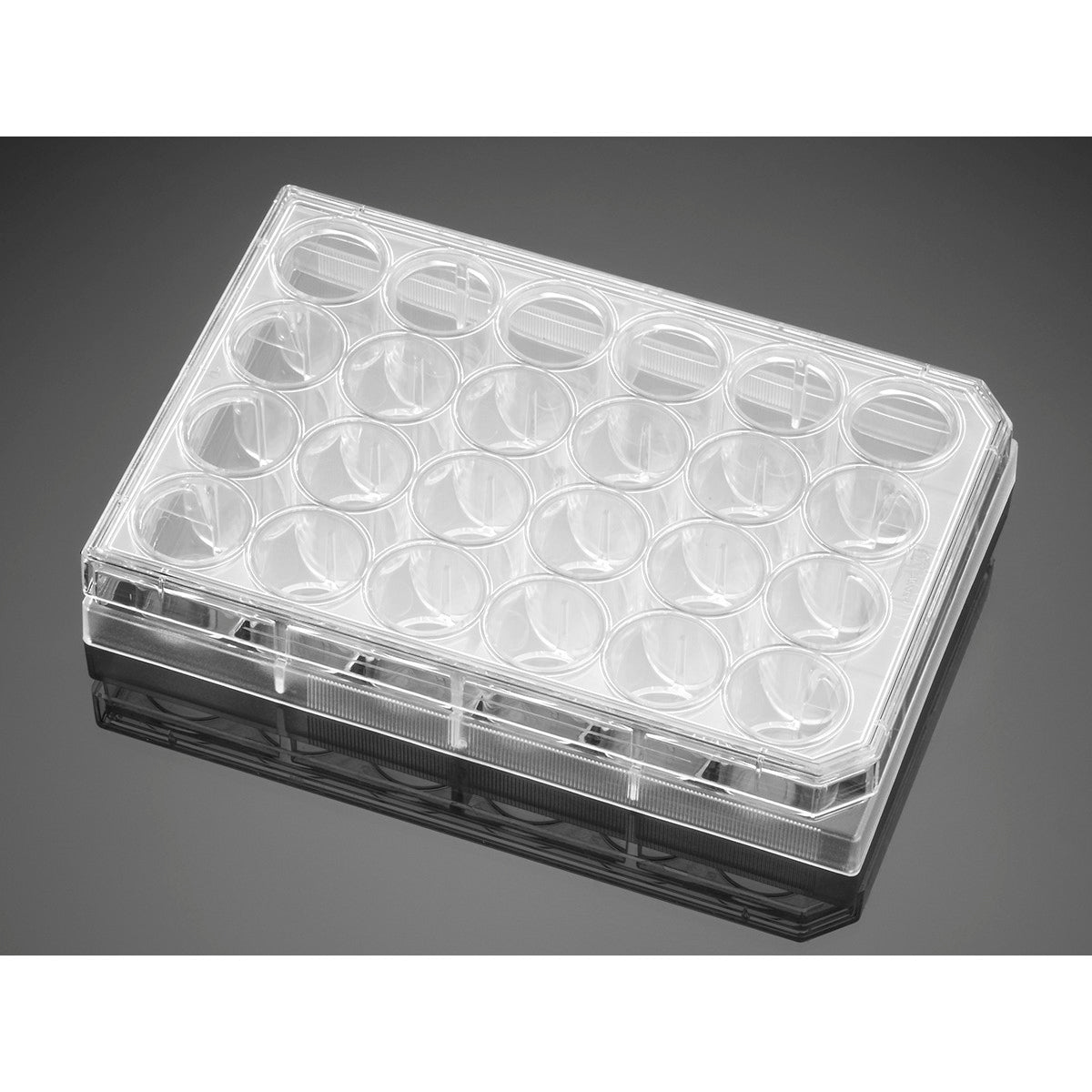 Corning&#174; BioCoat&#8482; Collagen IV 24 Well Clear Flat Bottom TC-Treated Multiwell Plate, with Lid, Nonsterile, 5/Case