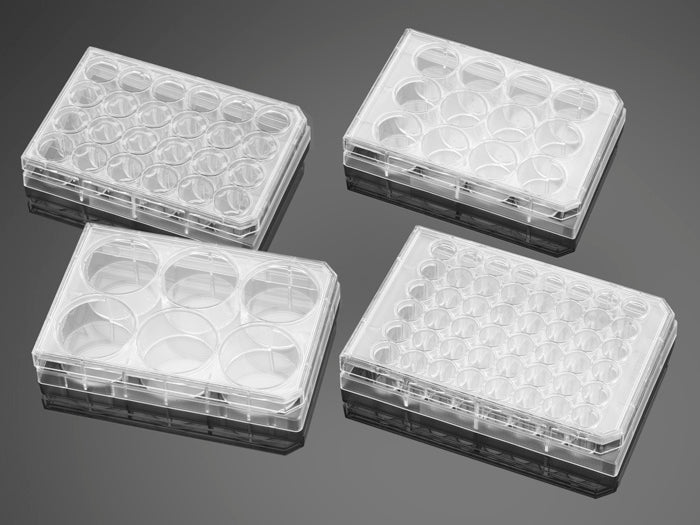 Corning® BioCoat® Collagen I 12 Well Clear Flat Bottom TC-Treated Multiwell Plate, with Lid, Nonsterile, 5/Case