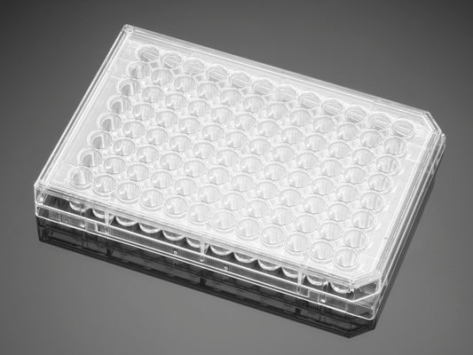 Corning&#174; BioCoat&#8482; Collagen I 48 Well Clear Flat Bottom TC-Treated Multiwell Plate, with Lid, Sterile