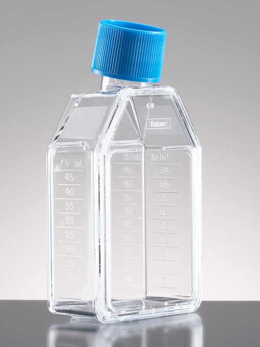 Corning® BioCoat„¢ Poly-D-Lysine 25cm² Rectangular Canted Neck Cell Culture Flask with Vented  Cap