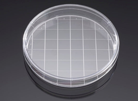 Corning® BioCoat„¢ Poly-D-Lysine 150mm TC-Treated Gridded Culture Dishes, 5/Pack, 5/Case, Nonsterile