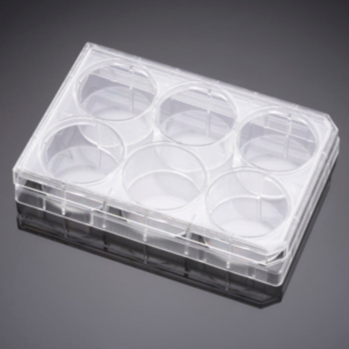 Corning® BioCoat® Matrigel® Matrix Thin Layer 6 Well Clear Flat Bottom TC-Treated Multiwell Plate, with Lid, Nonsterile, 5/Case