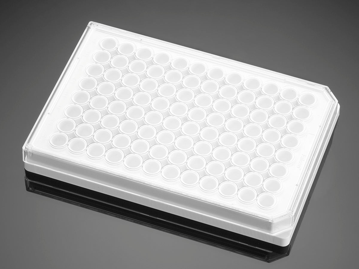 Corning® BioCoat‚¬ž¢ Poly-D-Lysine 96 Well White/Opaque Flat Bottom TC-Treated Microplate, with Lid, Nonsterile, 5/Case