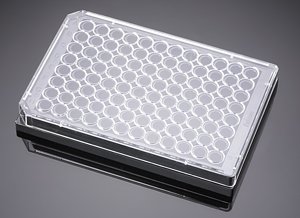 Corning&#174; PureCoat&#8482; Amine 96 Well Black/Clear Flat Bottom Plate, 5/Case