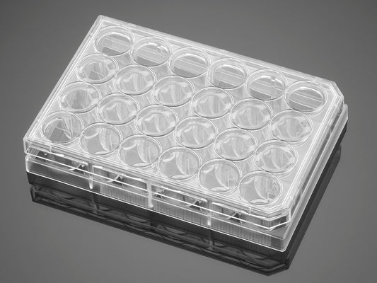 Corning&#174; PureCoat&#8482; Collagen I Peptide 24 Well Clear Plate, with Lid, Sterile, 5/Pack, 10/Case