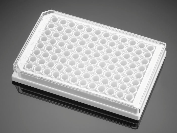 Corning&#174; BioCoat&#8482; Collagen I 96 Well White Flat Bottom TC-Treated Microplate, with Lid, 5/Pack, 50/Case