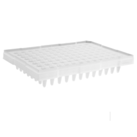 96 Well Clear PCR Half Skirt Amplification Plate with a Single Notch, Axygen