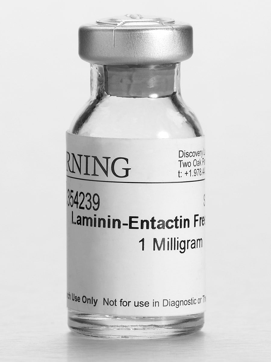 Corning® Ultrapure Laminin, Mouse, 1mg