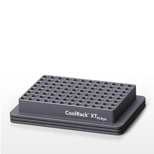 CoolRack® XT PCR96 for 12 strip wells