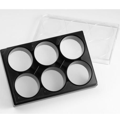 Corning 6 Well Black Clear Round Bottom Ultra-Low Attachment Micro-Cavity plate, 500um Diameter and 400um Depth