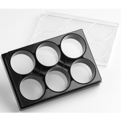 Corning 6 Well Black Clear Square Bottom Plasma Treated, Micro-Cavity plate, 200um Wide and 100um Depth