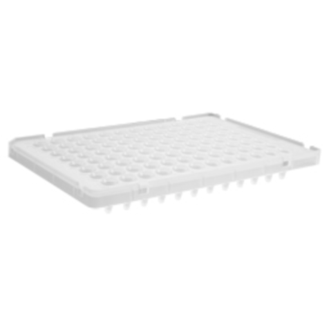 96 Well White Low Profile PCR Plate for ABI, Axygen