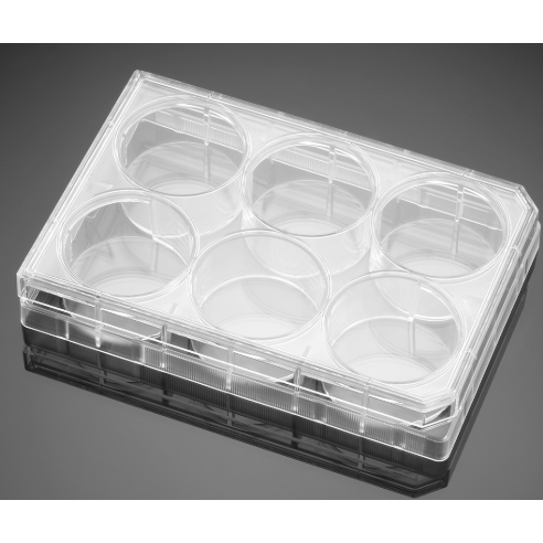 Falcon® Clear Flat Bottom TC-Treated Multiwell Cell Culture Plates, with Lid, Sterile