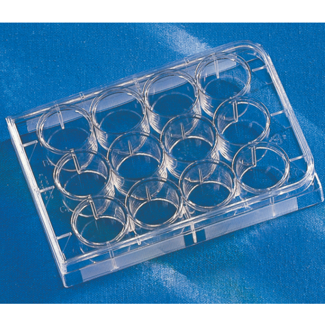 Multi-Well Plates, CellBIND, Individually Wrapped, Corning