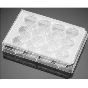 Falcon® Clear Flat Bottom TC-Treated Multiwell Cell Culture Plates, with Lid, Sterile