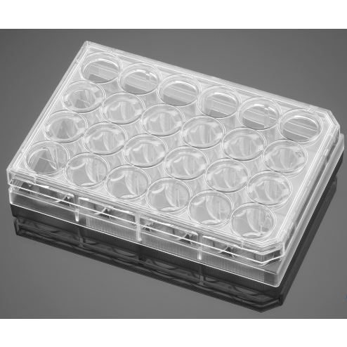 Corning® BioCoat„¢ Collagen I Inserts with 0.4 µm PET Membrane in two 24 Well Plates, 24/Pack, 24/Case