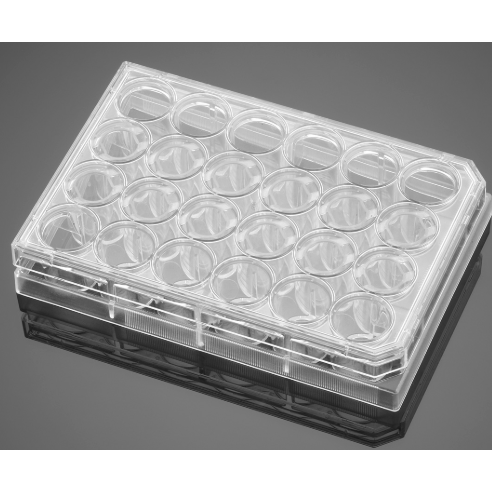 Falcon® Clear Flat Bottom TC-Treated Multiwell Cell Culture Plates, with Lid, Non-Sterile