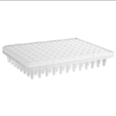 96 Well Clear PCR Segmented Plate, Axygen