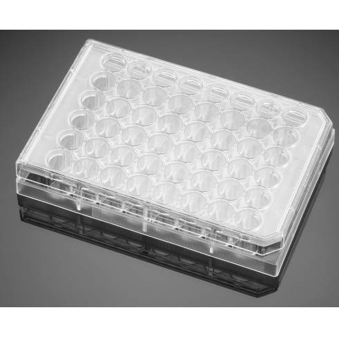 Falcon® 48 Well Clear Flat Bottom TC-Treated Multiwell Cell Culture Plate, with Lid, Sterile, 6/Pack, 36/Case