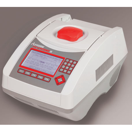 Axygen MaxyGene II Thermal Cycler with 96 well block, 230V