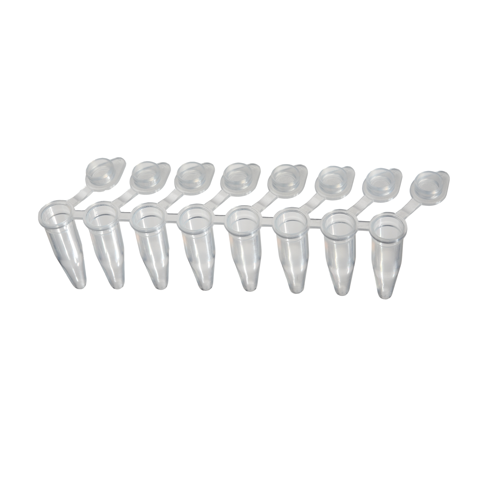 Appleton 8-strip PCR Tubes