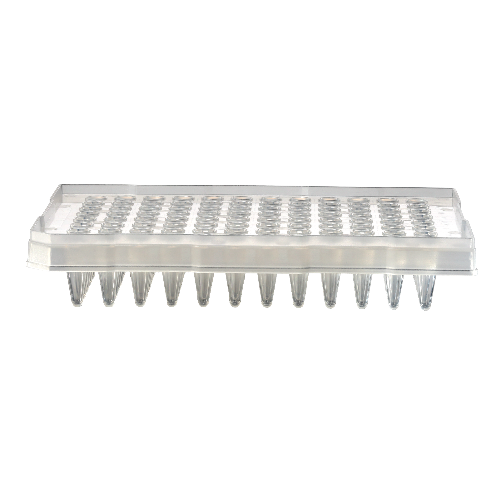 0.2ml sub-semi skirted Standard Profile qPCR 96 well plate (ABI, Quant Studio)